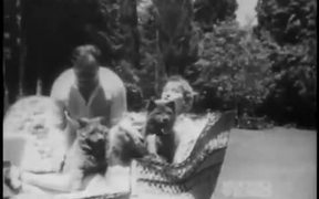 Home Movies of Emigre Film Stars in Hollywood 1928 - Movie trailer - VIDEOTIME.COM