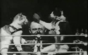 Professor Welton's Boxing Cats (1894) - Animals - VIDEOTIME.COM