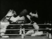 Professor Welton's Boxing Cats (1894)