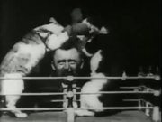 Professor Welton's Boxing Cats (1894)