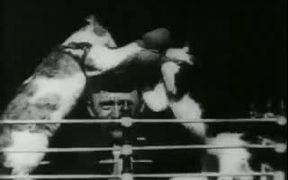 Professor Welton's Boxing Cats (1894) - Animals - VIDEOTIME.COM