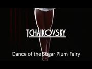 Dance of the Sugar Plum Fairy