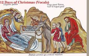 12 Days of Christmas Vocals - Music - VIDEOTIME.COM