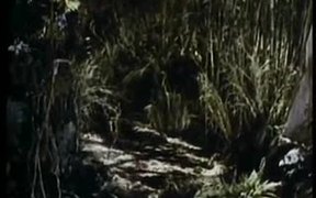 Jungle Book - Movie trailer - VIDEOTIME.COM