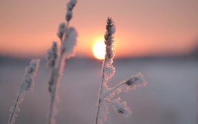 Into the Sun - Winter Fairy - Fun - VIDEOTIME.COM