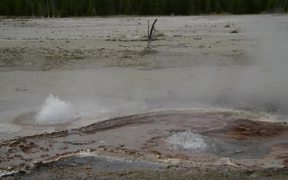 Yellowstone Boiling Pot - Fun - VIDEOTIME.COM