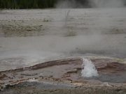 Yellowstone Boiling Pot