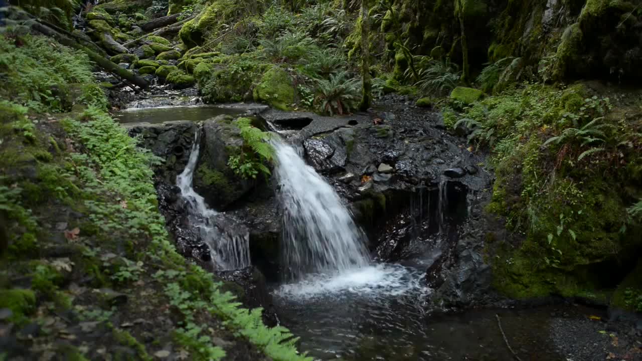 Along Gordon Creek Waterfall