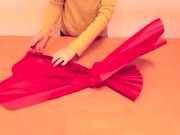 How to Make Giant Tissue Paper Flowers