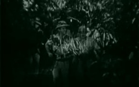 Perils of the Jungle - Movie trailer - VIDEOTIME.COM