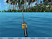 Sea Fishing Tropical - Sports - Y8.COM