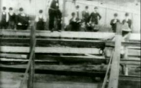 Bucking Bronco 1898