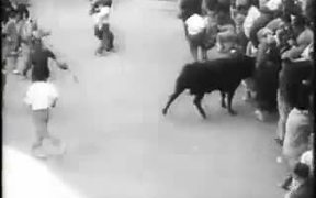 Running of the Bulls - Animals - VIDEOTIME.COM