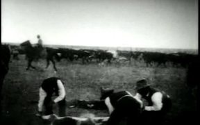 Calf Branding 1898 - Animals - VIDEOTIME.COM