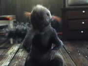 Animated Little Squirrel
