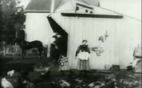 Feeding Doves 1896 - Animals - VIDEOTIME.COM
