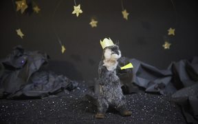 Stop Motion Animation Video - The Otter King - Anims - VIDEOTIME.COM
