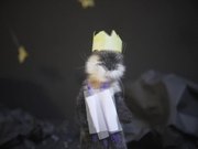 Stop Motion Animation Video - The Otter King