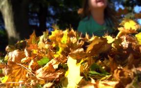 Pile of Leaves - Kids - VIDEOTIME.COM