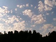 Clouds And Trees - Time Lapse