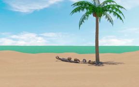 Monkey and the Coconut - Anims - VIDEOTIME.COM