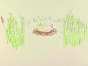 Ugly Duckling Animation