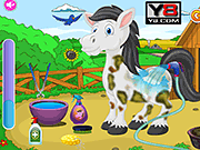 Pet Horse Care - Girls - Y8.COM