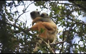 One Day on Earth 12.12.12 - Habitat (Madagascar)