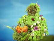 Stop Motion Animation - Flower Monster