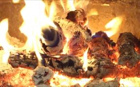 Beethoven - Symphony No 3 and Fireplace in Macro - Music - VIDEOTIME.COM