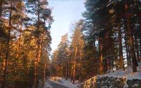 Vivaldi - Winter & Punkaharju - Music - VIDEOTIME.COM