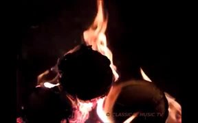 Flames in the Macro and Classical Music - Music - VIDEOTIME.COM