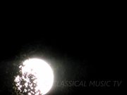 Moonlight Sonata by Gerhard Oppitz