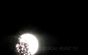 Moonlight Sonata by Gerhard Oppitz - Music - VIDEOTIME.COM