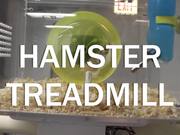 Hamster Treadmill