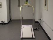 Hamster Treadmill