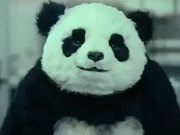 Panda Cheese Commercial
