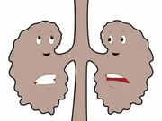 Kidney Animation in English