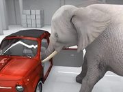 Elephant Trying the Impossible