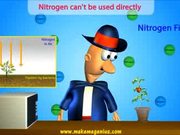 Nitrogen Cycle, Nitrogen Fixation - Explanation