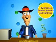 Nitrogen Cycle, Nitrogen Fixation - Explanation