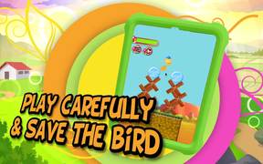 Bird Knock Down - Android Game Trailer