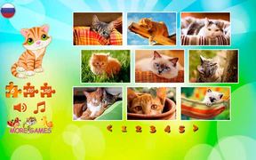 Kittens Puzzles - Games - VIDEOTIME.COM