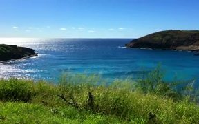 Hawaii Ocean - Fun - VIDEOTIME.COM