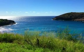 Hawaii Ocean - Fun - VIDEOTIME.COM