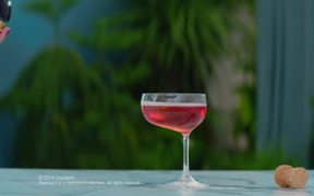 Chambord: Because No Reason Flamingo - Commercials - VIDEOTIME.COM