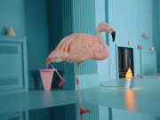 Chambord: Because No Reason Flamingo