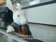 EasyJet Commercial: Bunny Song with Hugh Laurie