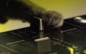 Meow Mix Video: A Meow Mix by Ashworth