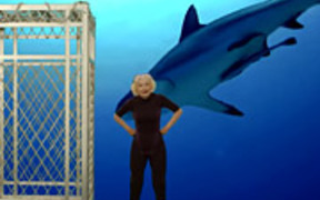 Nexcare Campaign: Nana vs. Shark Tank - Commercials - VIDEOTIME.COM